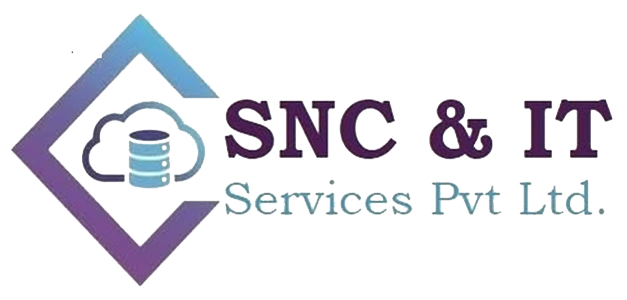 ServiceNexus Logo